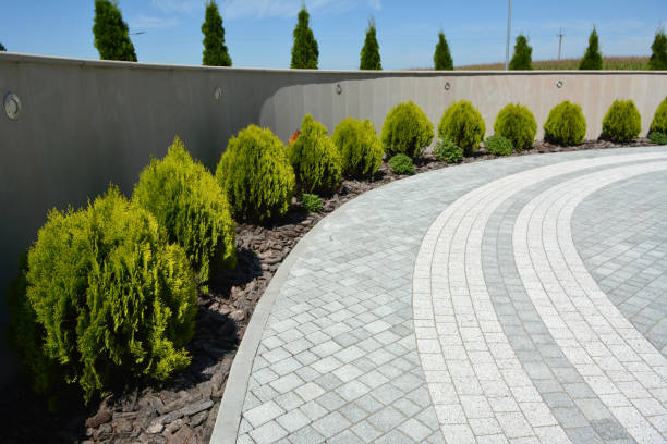 Best Commercial Driveway Pavers  in Camp Barrett, VA
